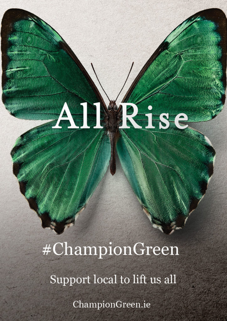 Read more about the article Champion Green – Support local